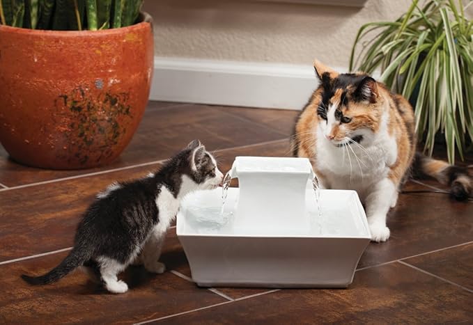 PetSafe Drinkwell Pagoda Ceramic Cat & Dog Water Fountain, 70oz Capacity, Encourages Hydration, Open Bowl Design, White
