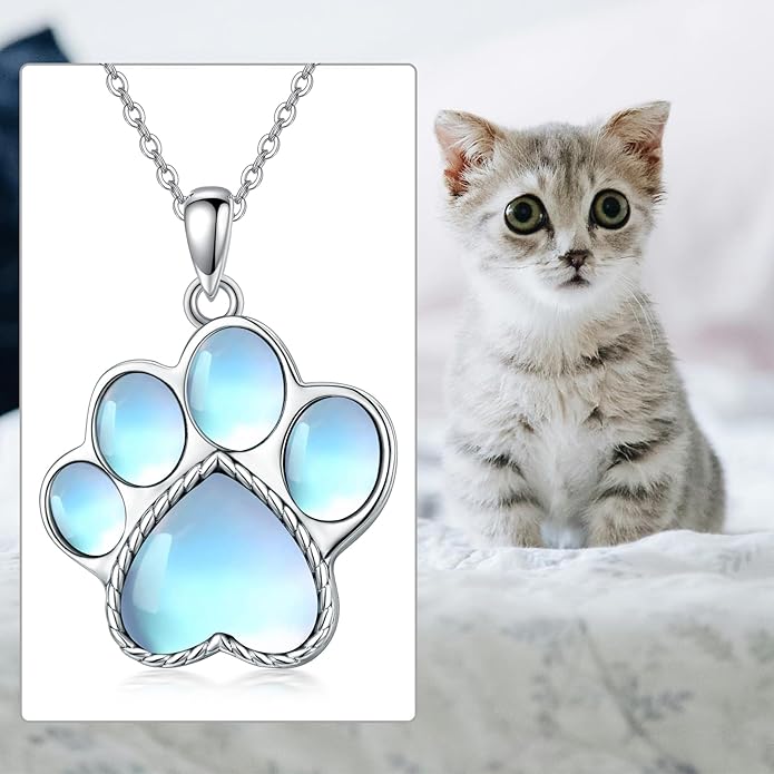 Paw Print Necklace 925 Sterling Silver with Genuine Turquoise/Larimar Dog Cat Kitten Puppy Footprint Pendant Animal Jewelry Gifts for Women Pet Lover