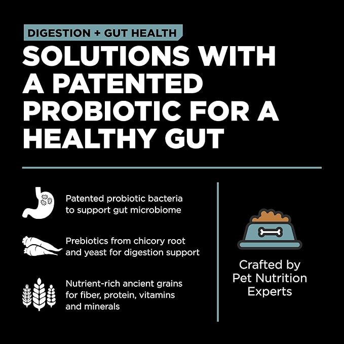 Go! Solutions Digestion + Gut Health, Dry Cat Food, Chicken Recipe with Ancient Grains, 3 lb Bag