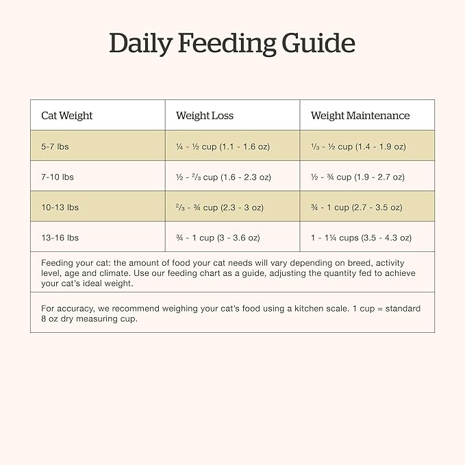 Now Fresh Grain-Free, Dry Cat Food, Turkey, Salmon and Duck Kibble, Real Meat and Fish Adult Recipe, 16 lb Bag