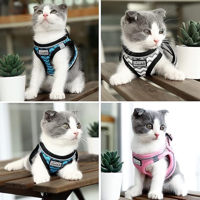 Soft Mesh Dog Harness and Leash Set, Step-in Reflective Breathable Comfort Padded Quick Dry Pet Puppy Vest Harness for Extra-Small/Small Medium Dogs and Cats (Blue, XS)