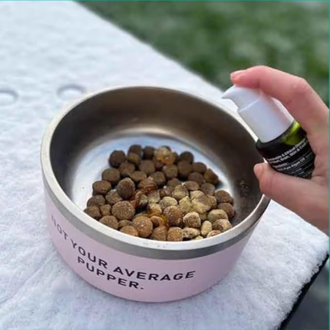 Omega 3 for Cats - Algae Oil, Alternative Fish Oil for Cats, Sustainable Omega Supplement for Skin & Coat, Itching, Shedding, Joints & Immune Health, Natural Omega Cat Supplements 50ml
