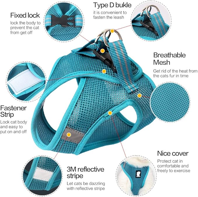 Heywean Cat Harness and Leash - Ultra Light Escape Proof Kitten Collar Cat Walking Jacket with Running Cushioning Soft and Comfortable Suitable for Puppies Rabbits (M, Turquoise)