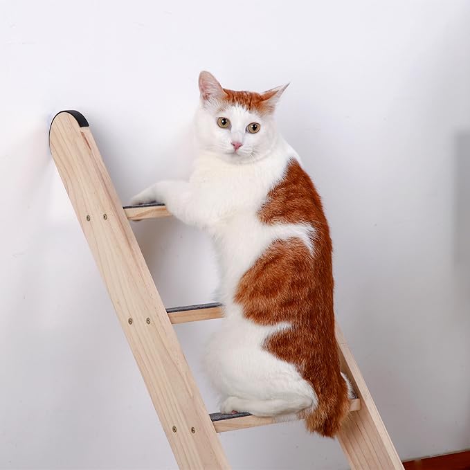 SHENGOCASE Solid Wood Wall Leaning Cat Ladder for Indoor Cats and Small Medium Dog, Cat Stair Step for Window Bed, Cat Wall Climbing Furniture (31.5")
