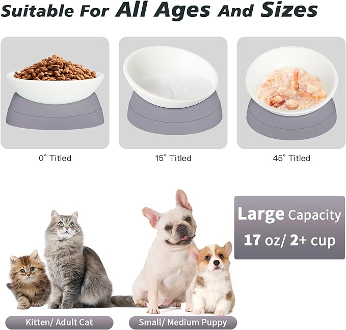 2Pcs Cat Bowls Elevated Cat Food Bowl Adjustable Cat Dish Anti-Slip and Anti-Noise Raised Cat Bowl Protecting Pet’s Spine Thickened Plastic Bowl Suitable for Indoor Cats, 17 Oz