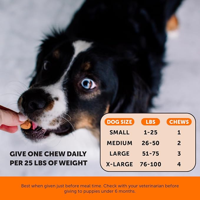 Pet Honesty Hip & Joint Turmeric Health - Joint Supplement for Dogs, Omega-3 Fish Oil, Turmeric Support Joint Health, Ease Stiffness - Advanced Pet Joint Support and Mobility - 90 Ct (Pumpkin)