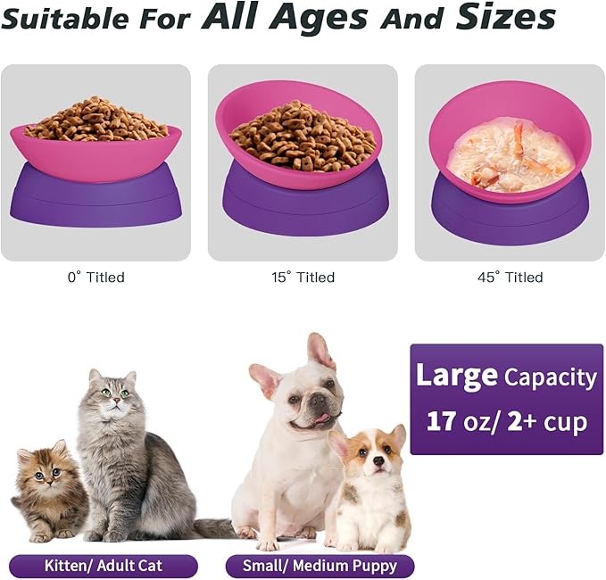 Cat Bowls Elevated Cat Food Bowl Adjustable Cat Dish Anti-Slip and Anti-Noise Raised Cat Bowl Protecting Pet’s Spine Thickened Plastic Bowl Suitable for Indoor Cats, 17 Oz
