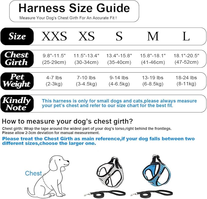 Soft Mesh Dog Harness and Leash Set, Step-in Reflective Breathable Comfort Padded Quick Dry Pet Puppy Vest Harness for Extra-Small/Small Medium Dogs and Cats (Blue, XS)