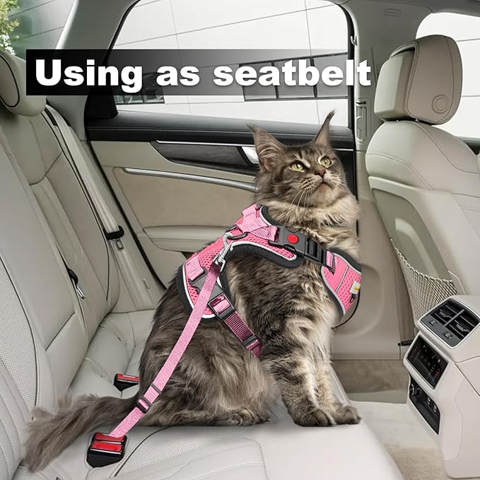 Cat Harness and Leash for Walking, Retractable Cat Harnesses and Leash Set Escape Proof, Breathable Soft Kitten Harness Small Large Cat Harness for Travel Training and Walking, Pink, XXS