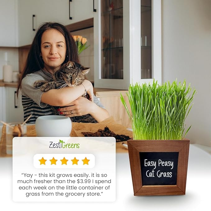 Organic Indoor Cat Grass Kit - 3 Wooden Planters, Certified Seeds, and Premium Soil for Happy Cats. Delight Your Feline Friends with The Ultimate Cat Grass Experience! Ideal Gift for Cat Lovers.