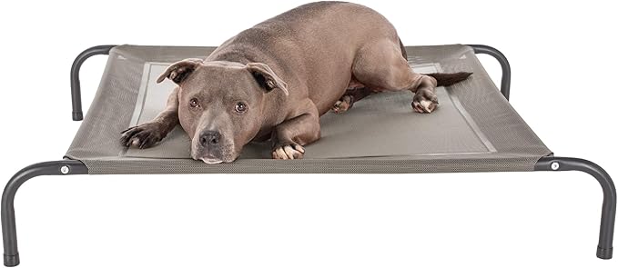 FurHaven Elevated Pet Cots - Cooling & Breathable Nylon Mesh Hammock for Dogs/Easy-to-Assemble / / Durable and Reinforced/Perfect for Rest & Relaxation Outdoors - Graphite Gray, Medium
