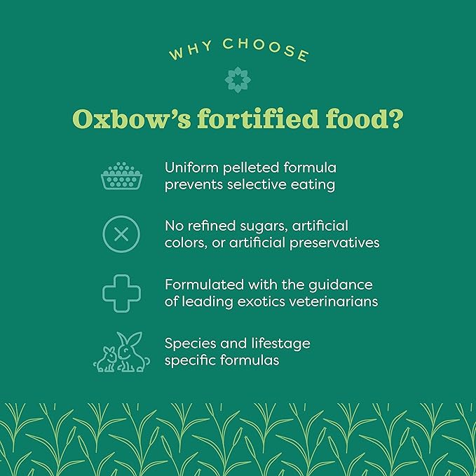 Oxbow Animal Health Essentials Ferret Food - 4 lb