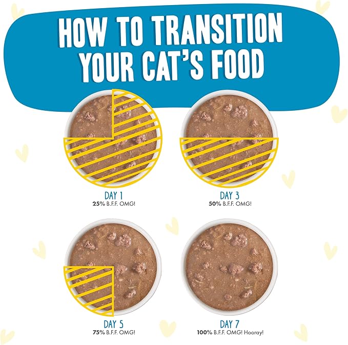 Weruva B.F.F. OMG - Best Feline Friend Oh My Gravy!, Chicken Charge Me Up with Chicken in Gravy, 2.8oz Pouch (Pack of 12)