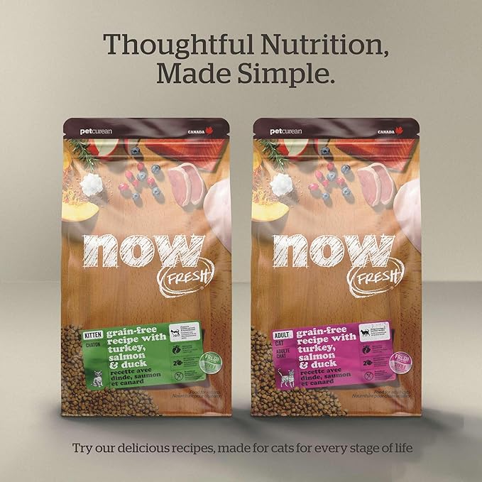Now Fresh Grain-Free, Dry Cat Food, Turkey, Salmon and Duck Kibble, Real Meat and Fish Senior Recipe, 16 lb Bag