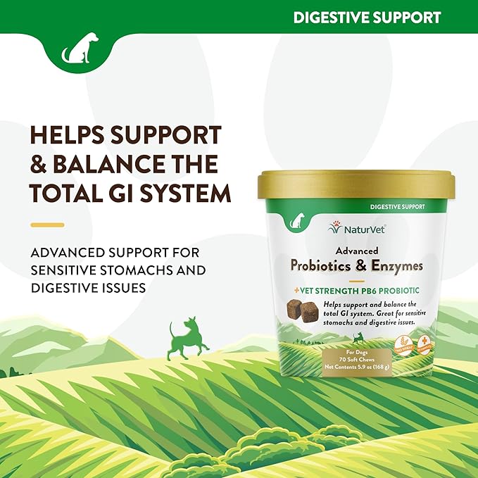 NaturVet Advanced Probiotics and Enzymes Supplement, Plus Vet Strength PB6 Probiotic, Soft Chews, Made in The USA with Globally Source Ingredients 70 Soft Chews