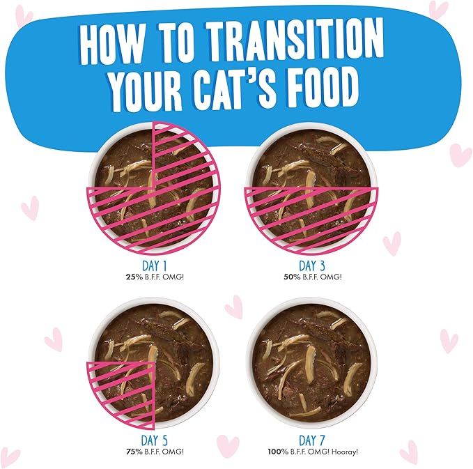 Weruva B.F.F. OMG - Best Feline Friend Oh My Gravy! Tuna & Chicken Charm Me with Tuna & Chicken in Gravy Cat Food, 3oz Pouch (Pack of 12)