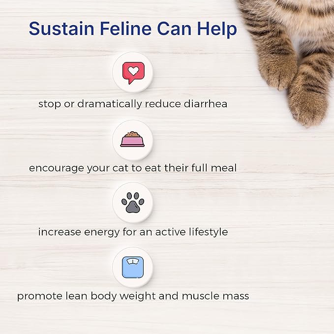 Sustain Feline Recovery Food for Cats 2 kg