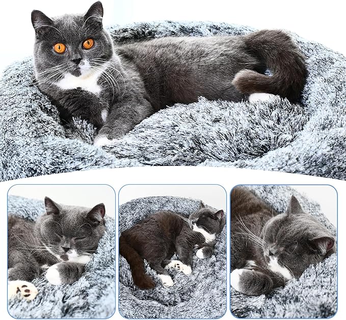 Cat Bed for Indoor Cats Self Warming Washable-Round with Slip-Resistant Bottom Warm Cuddler Cushion Bed Pet Furniture for Small Medium Large Kittens - 23 Inch Dark Grey