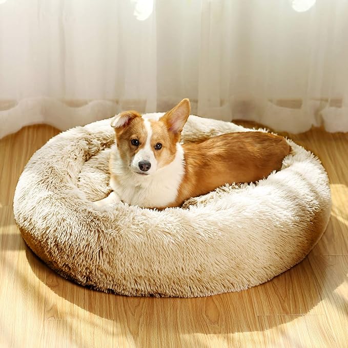 JEMA Calming Dog Beds for Medium Large Dogs,Washable Donut Cuddler Pet Bed Cushions,Durable & Cozy Soft Dog Bed with Removable Pad 24 Inch
