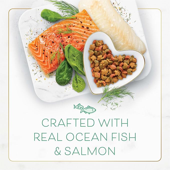 GYCO Dry Cat Food with Ocean Fish and Salmon, 3lb Bag - 100 Percent Complete and Balanced Nutrition - Real Sea Food Flavors That Cats Adore