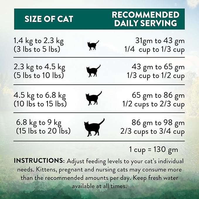 Addiction Wild Islands Island Bird Dry Cat Food, Premium Duck, Turkey & Chicken Recipe with High-Protein & Grain-Free Formula for Feline Health - 4lbs