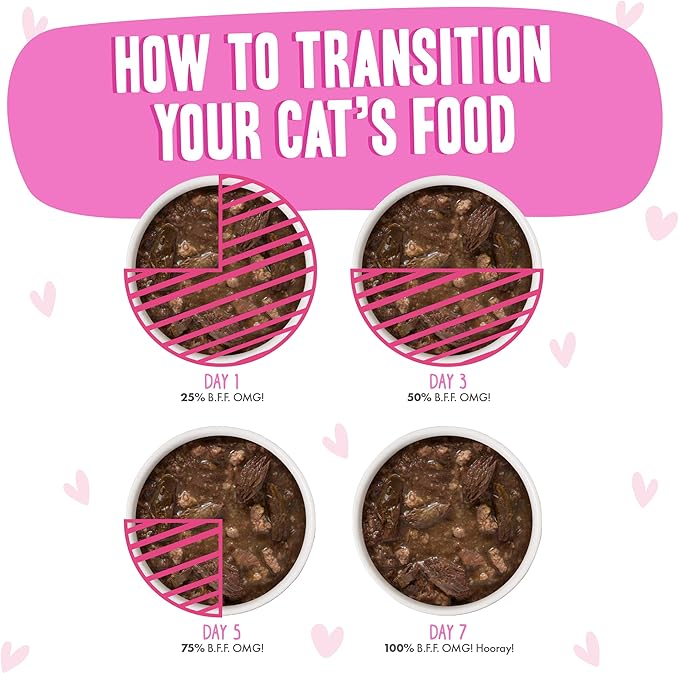 Weruva B.F.F. OMG - Best Feline Friend Oh My Gravy!, Tuna & Duck Devour Me with Tuna & Duck in Gravy Cat Food, 3oz Pouch (Pack of 12)