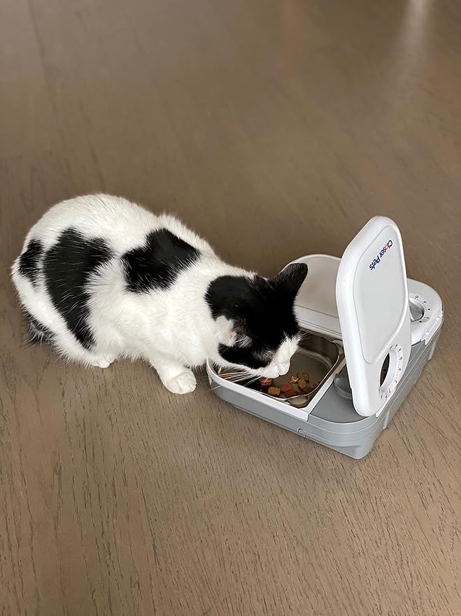 Two-Meal Automatic Pet Feeder with Stainless Steel Bowl Inserts (C200)