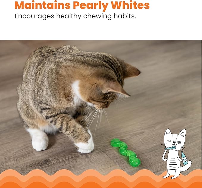 Catstages Orkakat Wiggle Worm Dental Catnip Cat Chew Toy, Assorted Color