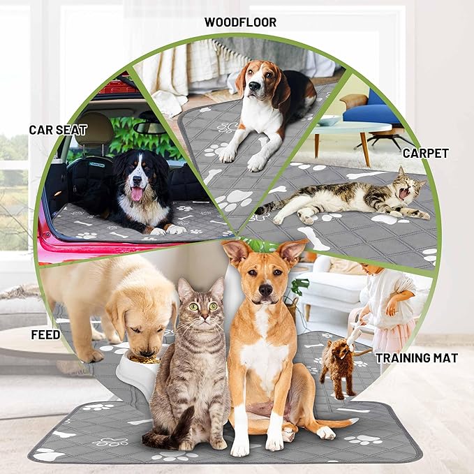 PatiencET Washable Pee Pads for Dogs, 36'' x 48" Reusable Puppy Pads with Super Absorbent, 2 Pack Puppy Potty Pads with Waterproof Bottom for Pet Training, Housebreaking and Incontinence