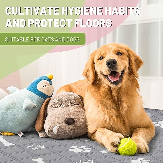 PatiencET Washable Pee Pads for Dogs, 48'' x 65" Reusable Puppy Pads with Super Absorbent for Pet Training, Housebreaking and Incontinence, Puppy Potty Pads with Waterproof Bottom