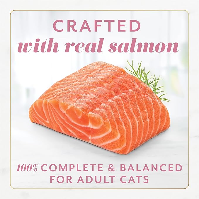 Fancy Feast Gems Pate Cat Food Mousse With Salmon and a Halo of Savory Gravy Cat Food - (Pack of 8) 4 oz. Boxes