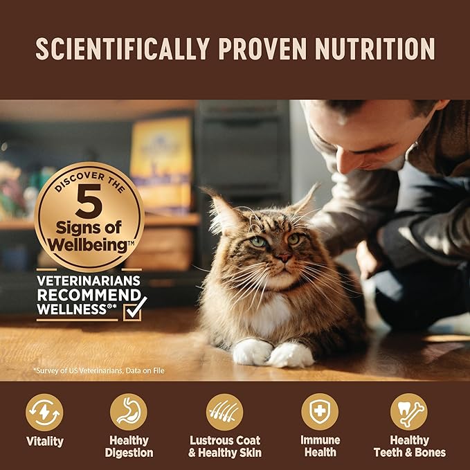Wellness CORE Tiny Tasters Wet Cat Food Topper, Grain Free, Complete & Balanced Nutrition Made with Real Meat, No-Mess Pouches, (Adult Cat, Land Variety Pack), 1.75 Ounce (Pack of 12)