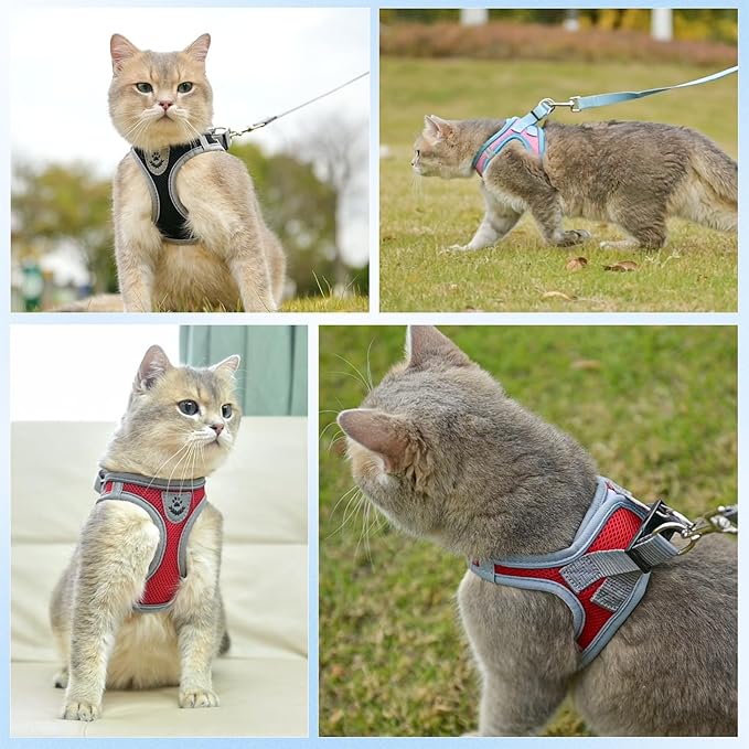 SCENEREAL Cat Harness and Leash Set Escape Proof, Adjustable Soft Air Mesh Kitten Harnesses for Girls Boys Small Medium Big Cats, Reflective Light Travel Pet Walking Vest for Puppy Rabbit, Black S