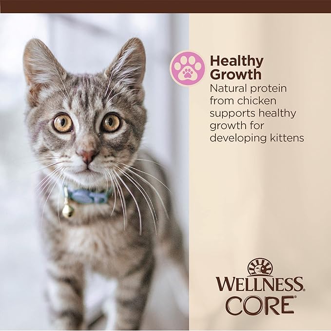 Wellness CORE Tiny Tasters Wet Kitten Food, Complete & Balanced Natural Pet Food, Made with Real Meat, 1.75-Ounce Pouch, 12 Pack (Kitten, Chicken Pate)