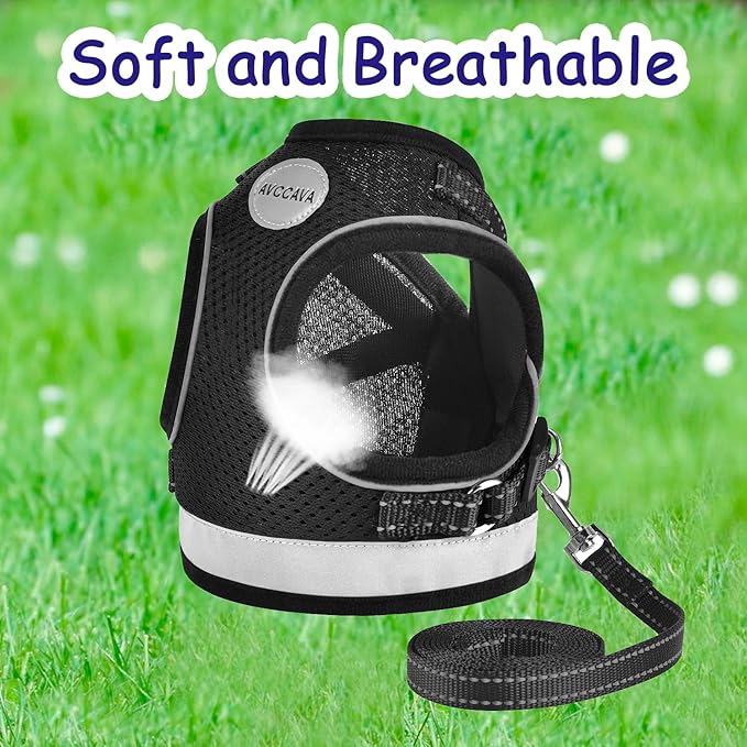 Cat Harness and Leash for Walking, Kitten Escape Proof Harnesses, Adjustable Reflective Puppy Harness with Leashes Set, Easy Adjustable Soft net Breathable Pet Safety Vest M (Chest: 12" - 14") Black