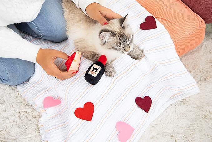 Pearhead Pet Cheese and Wine Plush Cat Toys, Set of 2, Valentine's Day Dog Toys, Wine and Cheese Catnip Toys, Crinkle Cat Toys, Cat Owner Valentine's Day Keepsake