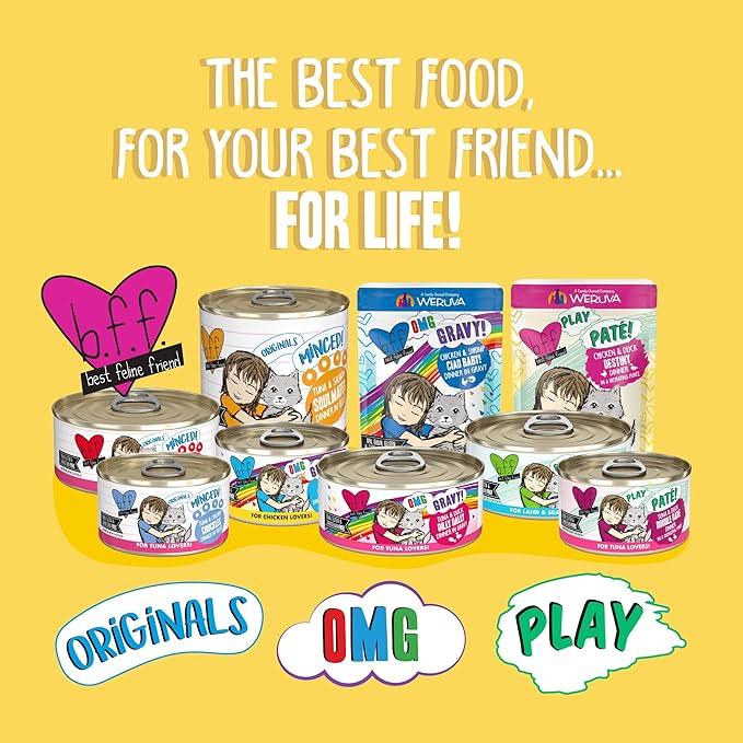 Weruva B.F.F. OMG - Best Feline Friend Oh My Gravy!, Chicken Charge Me Up with Chicken in Gravy, 2.8oz Pouch (Pack of 12)