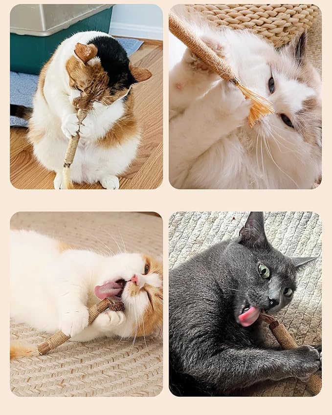 Tocirelo Kitten Teething Toys for Indoor Cats - 6Pack Silvervine Sticks Cat Enrichment Toys, Matatabi Cat Feather Toys with Bell, Cat Teeth Cleaning Treats, Cat Chew Sticks