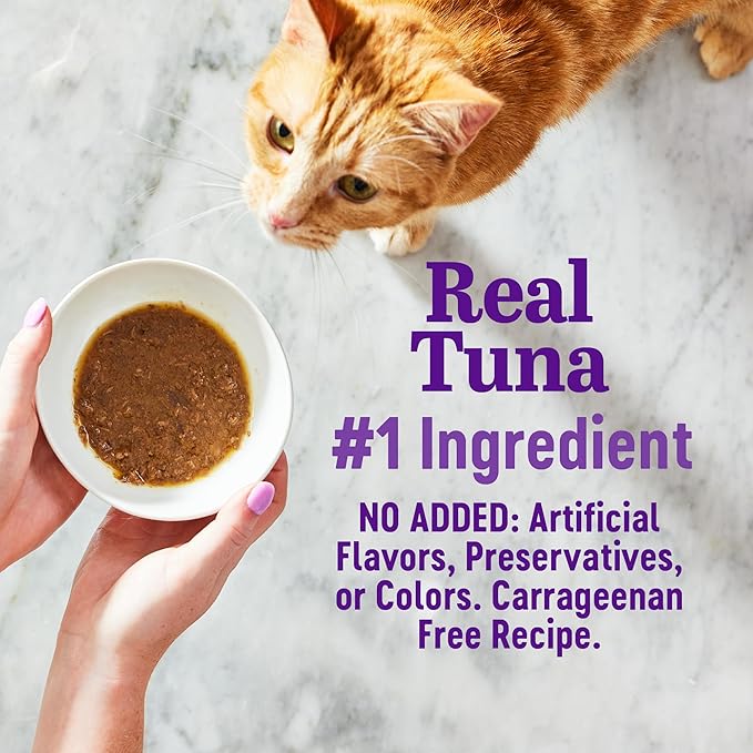 Wellness® Appetizing Entrées™ Flaked Tuna, Mackerel, Shrimp Recipe in Broth Natural Wet Cat Food, 1.4 oz Pouch (Pack of 8)