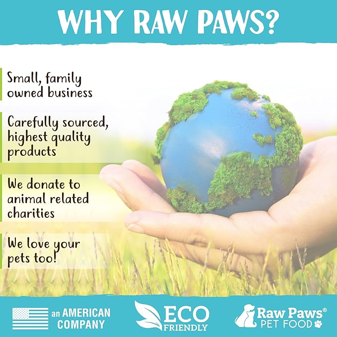 Raw Paws Catnip Balls for Cats, 6 (Pack) - Natural Catnip Ball Toy - Interactive Cat Toy for Indoor Cats - Cat Nip Balls - Catnip Licking Balls for Cats - Catnip Balls for Indoor Cats
