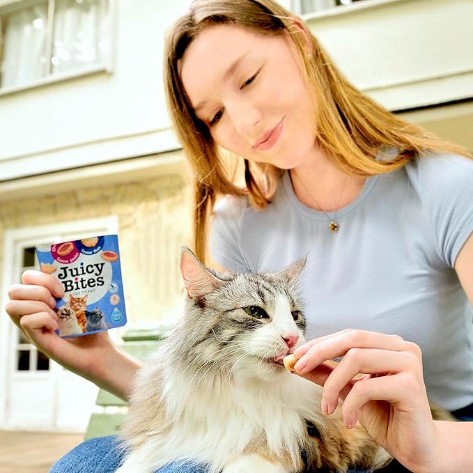 INABA Juicy Bites Grain-Free, Soft, Moist, Chewy Cat Treats with Vitamin E and Green Tea Extract, 0.4 Ounces per Pouch, 18 Pouches (3 per Bag), Scallop and Crab