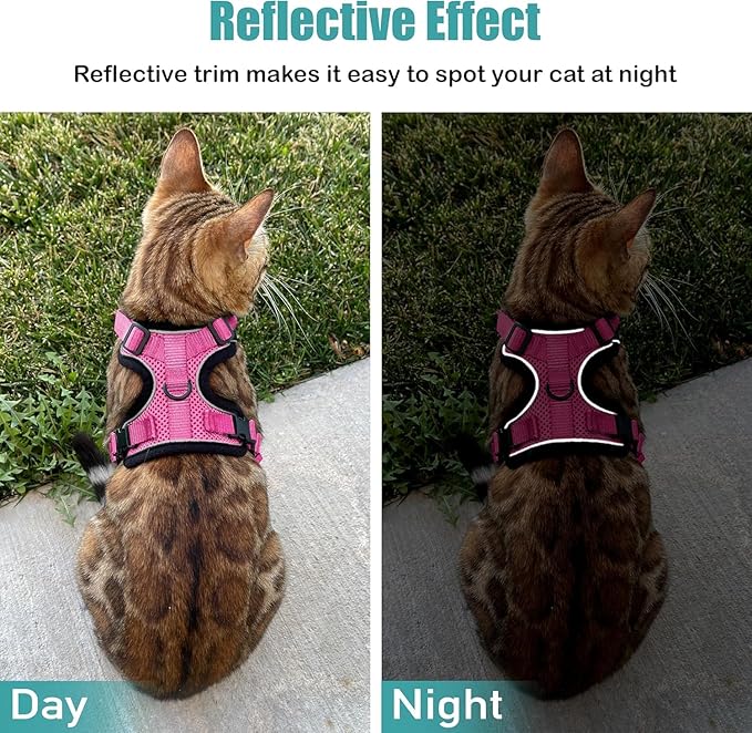 MeWO Kitten Leash and Harness Set - Escape Proof, Reflective, Adjustable for a Safe & Snug Fit - Small Cat Harness and Leash Set Cat Leashes and Harnesses for Walking Outdoors Kitten Harness and Leash