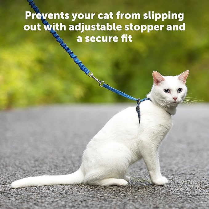 PetSafe Come with Me Kitty Harness and Bungee Leash, Medium, Lilac