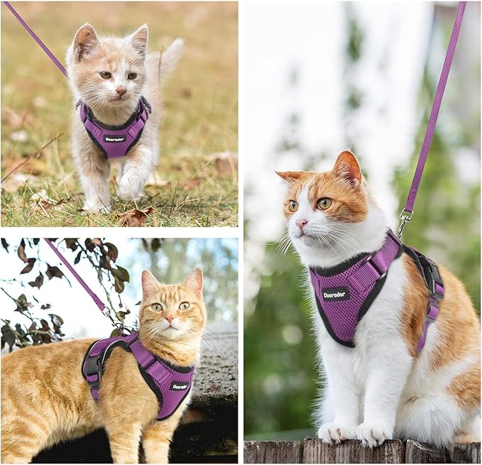 Dooradar Cat Harness and Leash Set, Escape Proof Safe Adjustable Kitten Vest Harnesses for Walking, Easy Control Soft Breathable Mesh Jacket with Reflective Strips for Cats, Purple, M