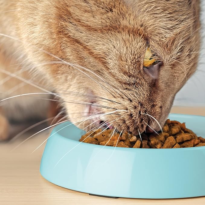 CatGuru Whisker Stress Free Cat Bowls - Wide, Non Slip, Shallow Dish for Cat Feeding & Watering (Aruba)