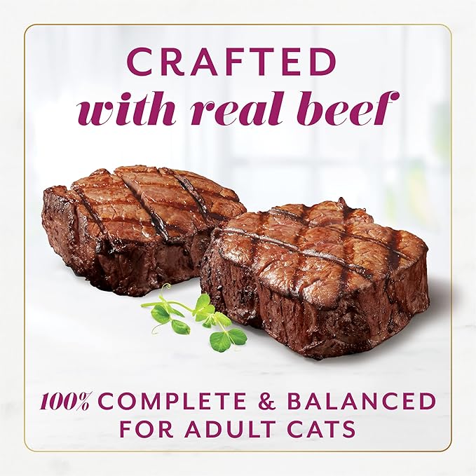 Fancy Feast Gems Pate Cat Food Mousse with Beef and a Halo of Savory Gravy - (Pack of 8) 4 oz. Boxes