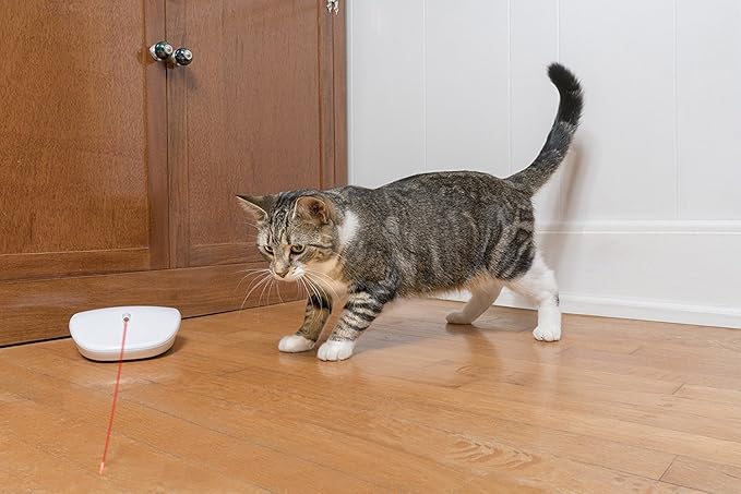 PetSafe Laser Tail Cat Toy – Fun and Safe Laser Light Game for Cats – Hands Free Play
