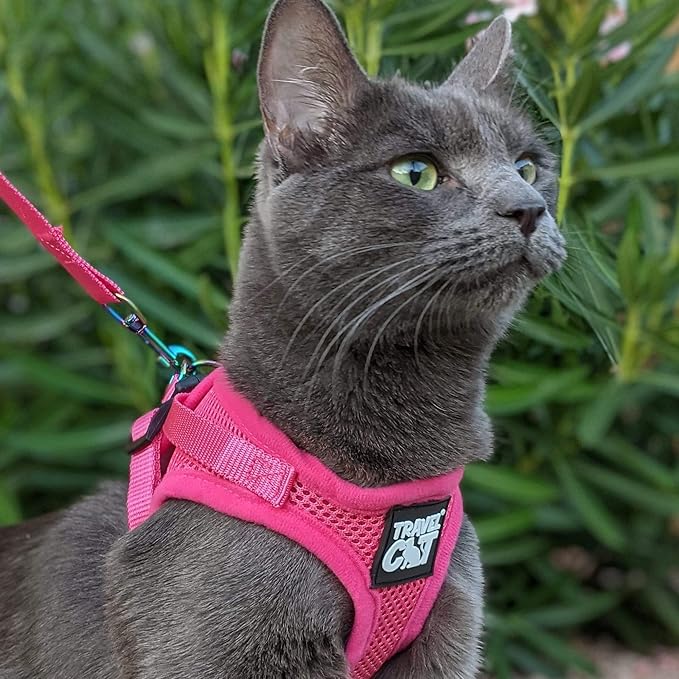 Travel Cat The Purrfectly Pink Harness & Leash Set - Adjustable Fit Mesh Cat Harness with Reflective Strap - Escape-Proof Harness for Cats, Kittens for Outdoor Walking, Hiking (Medium)