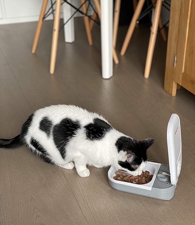 Cat Mate C100 Single Meal Automatic Pet Feeder for Cats and Small Dogs (no ice Pack)