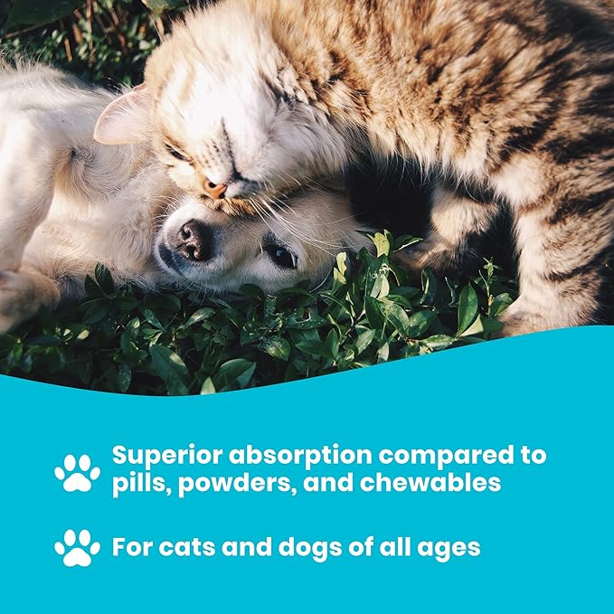 Omega 3 Fish Oil for Dogs and Cats | Premium Quality Omega 3 Supplement for Dogs and Cats (16 Ounce)